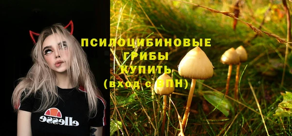 дмт Пестово