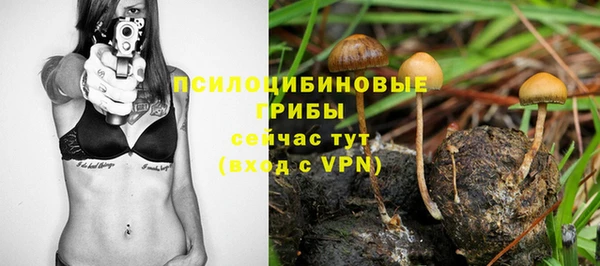 круглые Алзамай