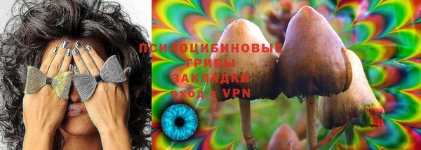 круглые Алзамай