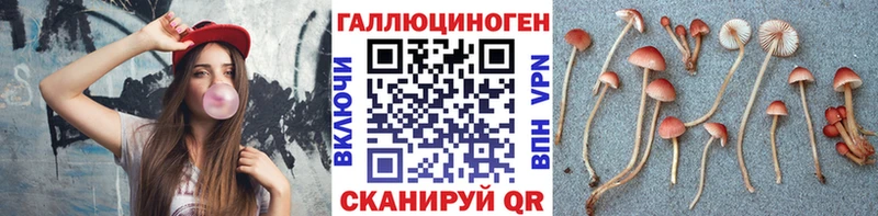 Галлюциногенные грибы мицелий Нурлат